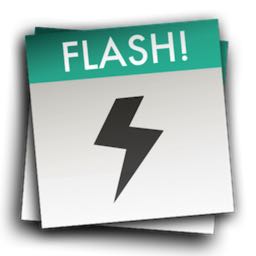 flashIcon